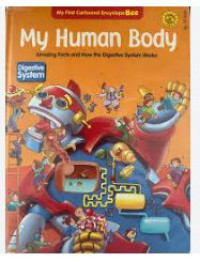 My Human Body amazing facts and how the digestive system work: Digestive system
