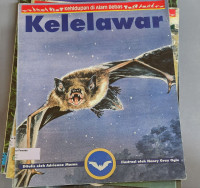 Kelelawar